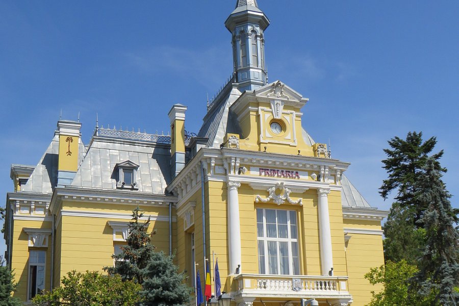 City Hall Botosani image