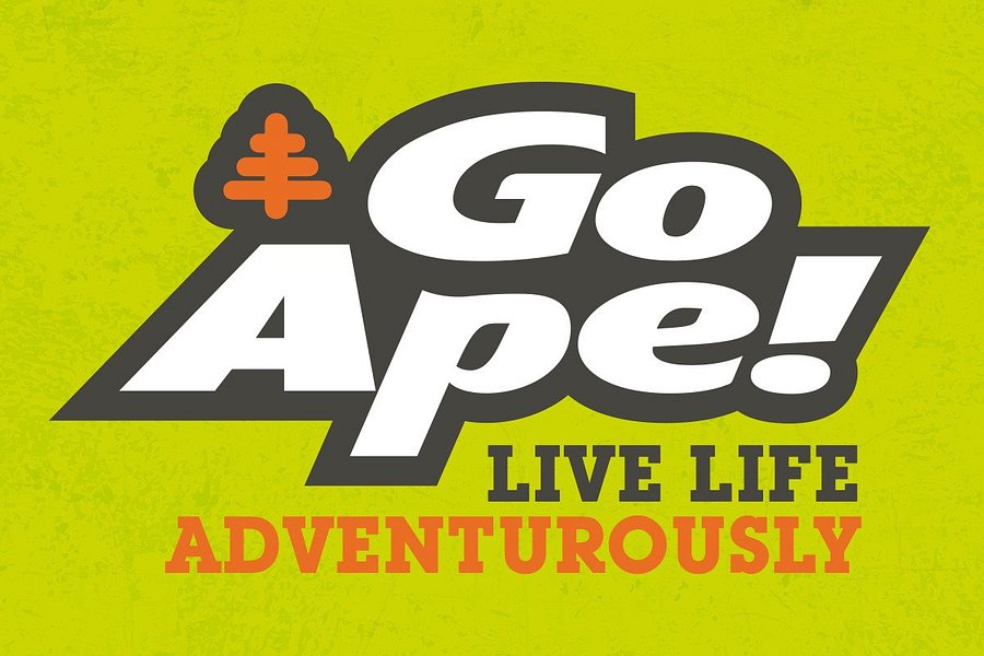 Go Ape Zipline & Adventure Park image