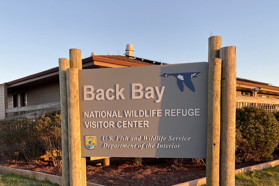 Back Bay National Wildlife Refuge image