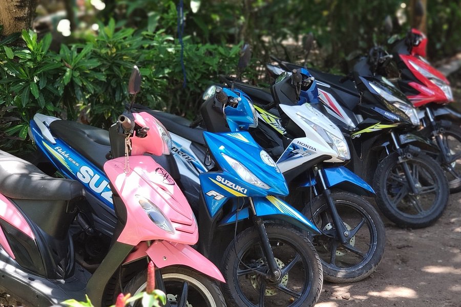 Camiguin Rent a Scooters image