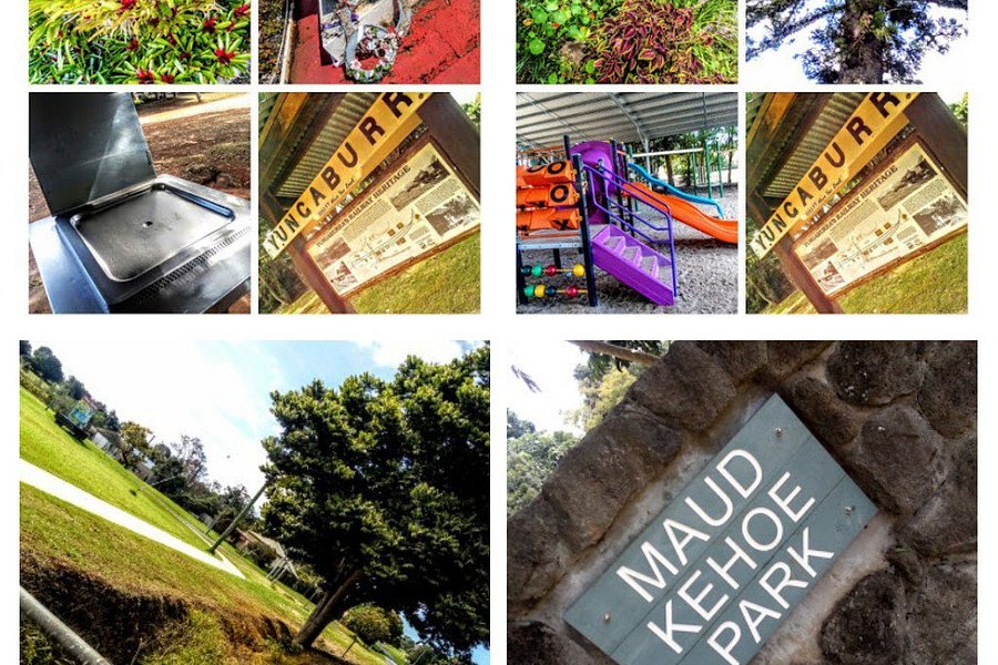 Maude Kehoe Park,yungaburra,qld image