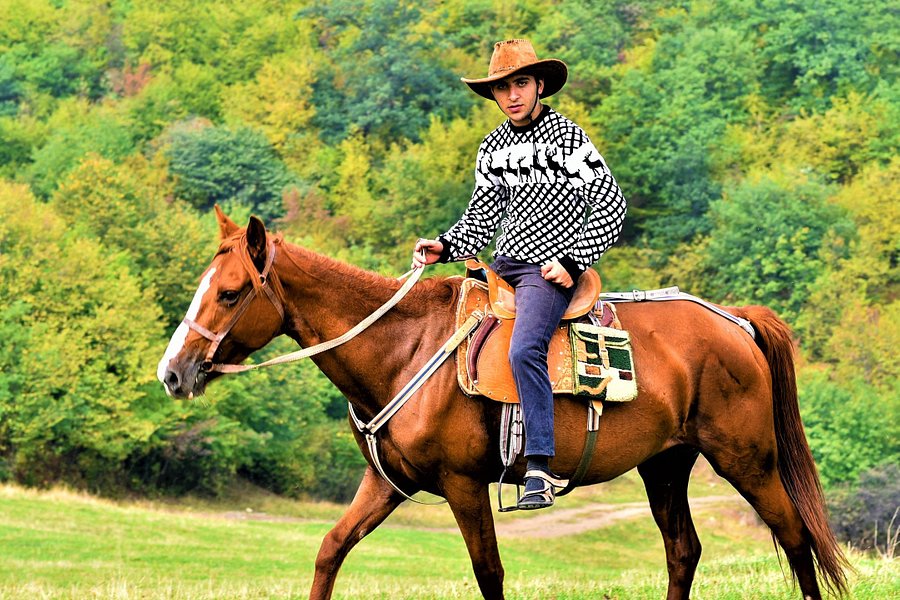 Lori Canyon Equestrian image