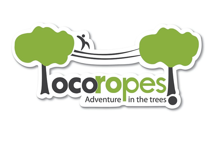 Loco Ropes image
