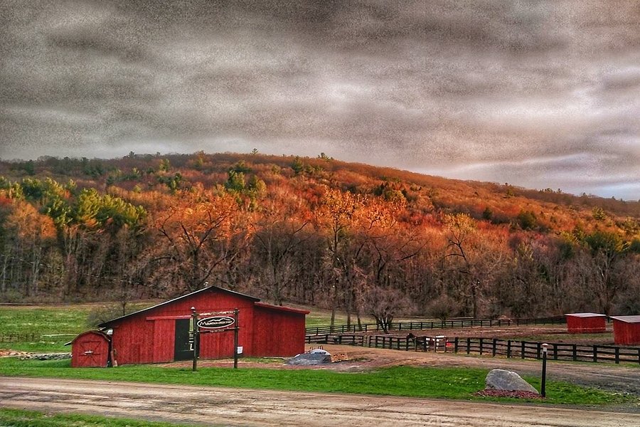 Mountain Creek Farm LLC image