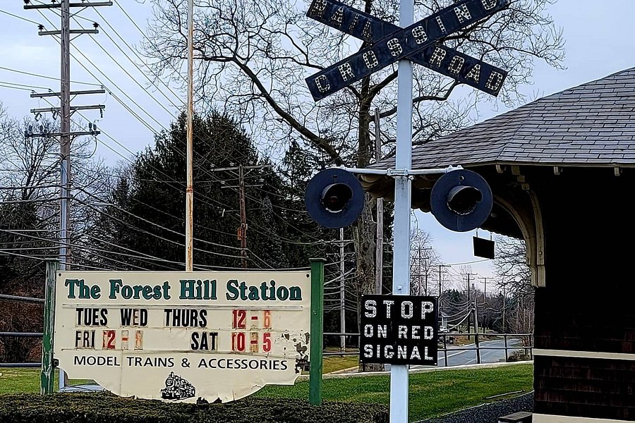 The Forest Hill Station image