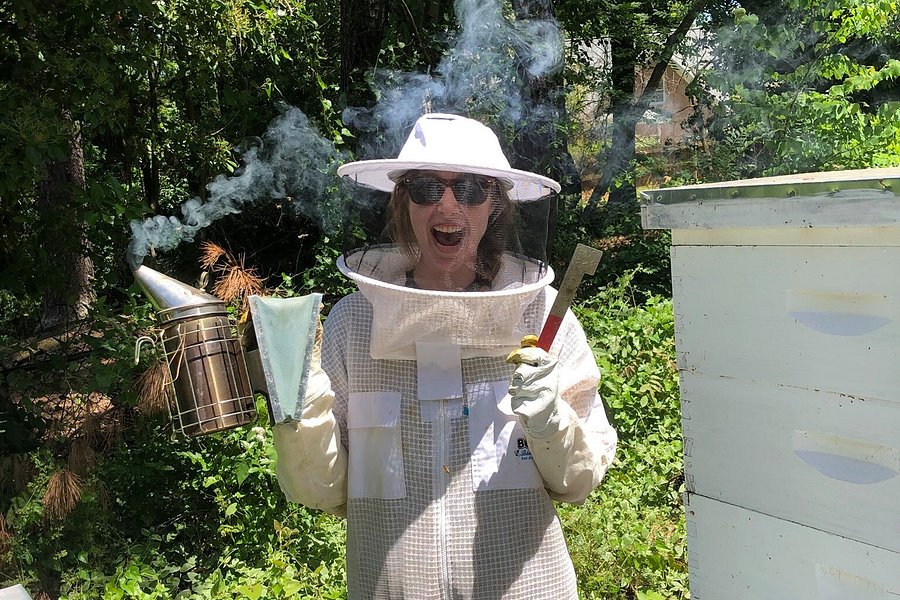 Sneaky Bee Backyard Honey image