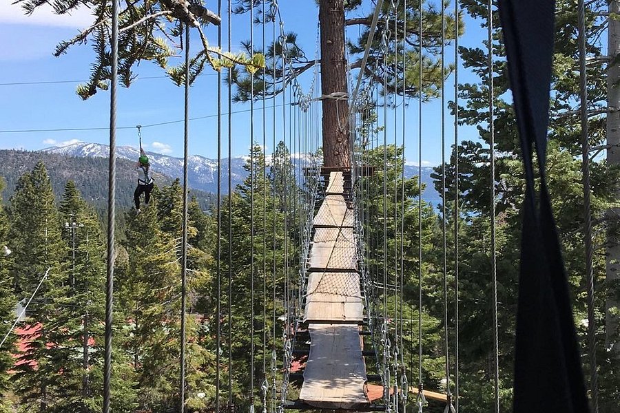 Tahoe Vista Treetop image
