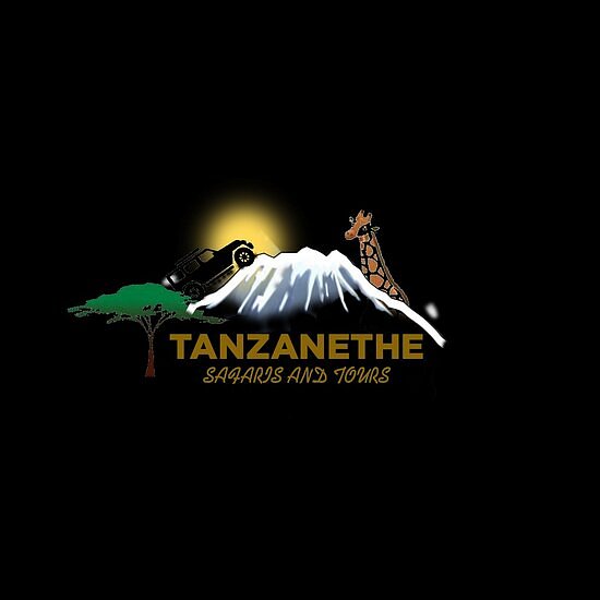 Tanzanethe Safari & Tours image