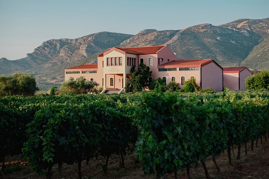 Domaine Skouras Winery image