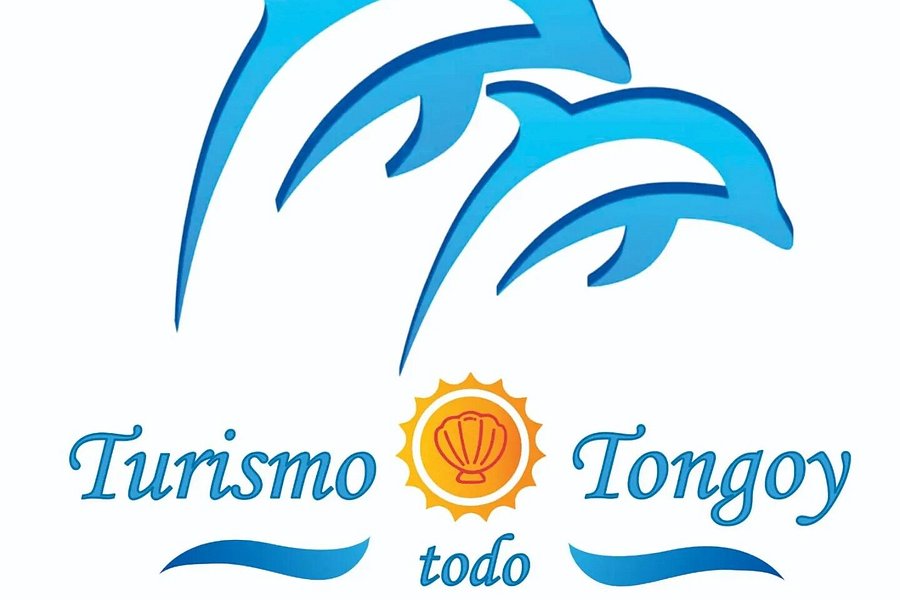 Turismo Todo Tongoy image