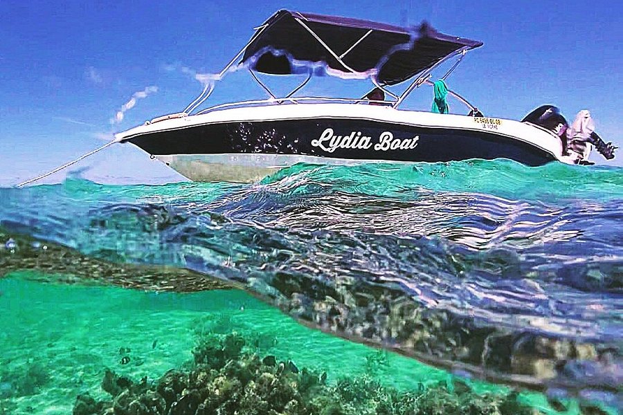 Lydia Boat(Private Boat Tour with music onboard) Dolphin Watching/swimming and Lunch On Benitier Island image