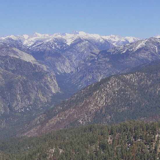 Keifer's Giant Sequoia Tours image