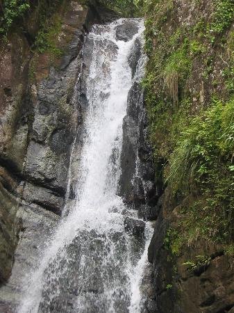 El Yunque National Forest review images