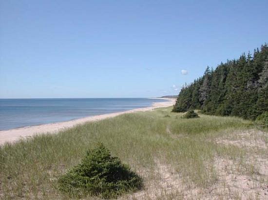 Red Point Provincial Park image