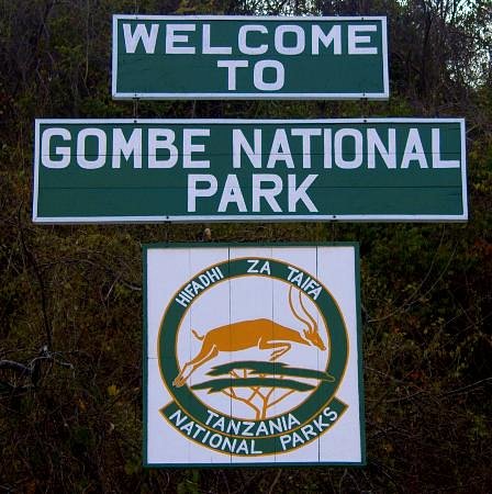 Gombe Stream National Park image