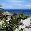 Dive-Hub-Antulang, hotel in Negros Island