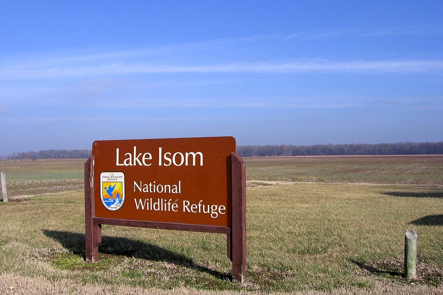 Lake Isom National Wildlife Refuge image