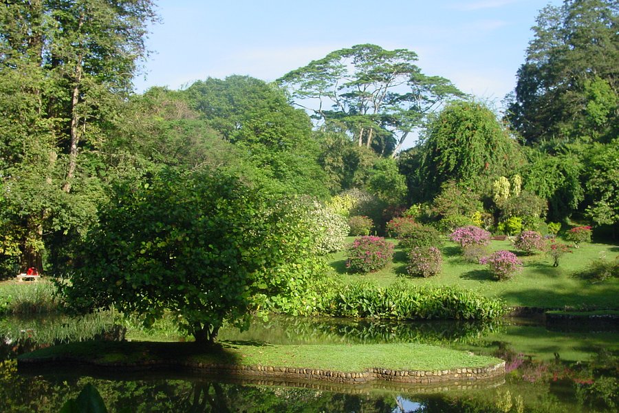 Henerathgoda Botanical Garden image