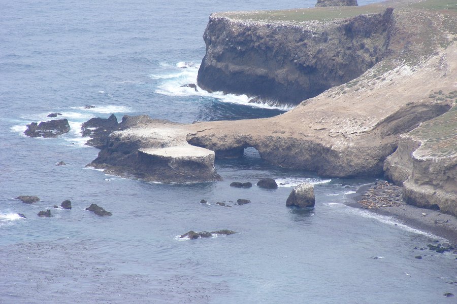 Santa Barbara Island image