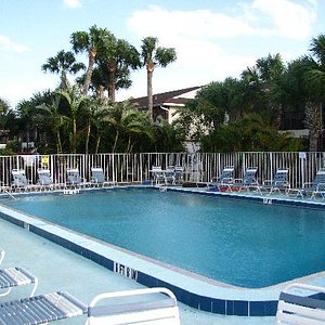 the Palm Manor Resort pool