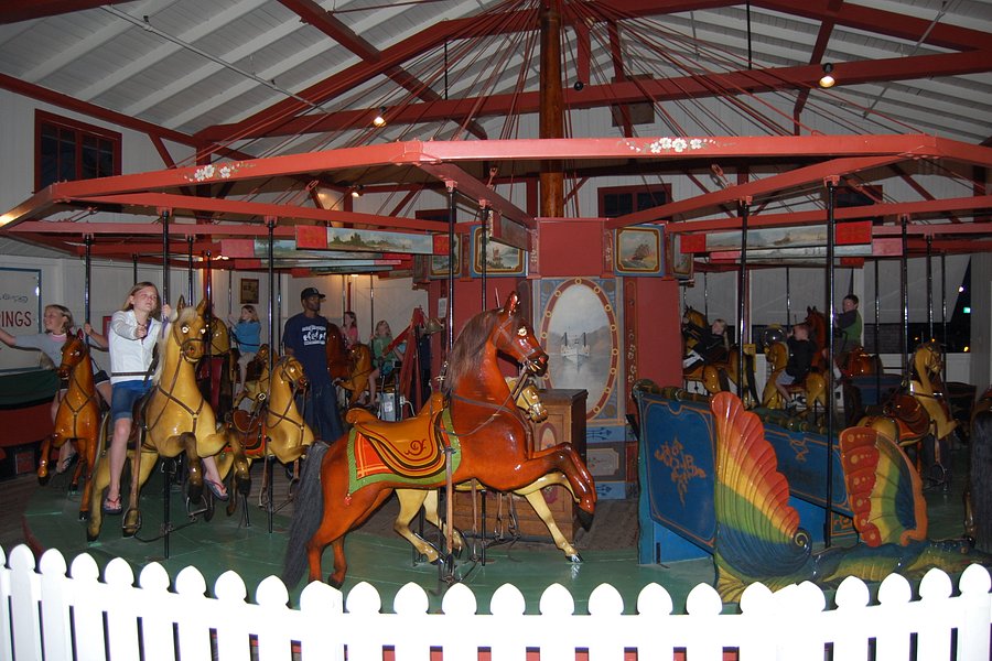 Flying Horses Carousel image