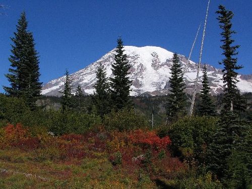 Mount Rainier National Park Randal S review images