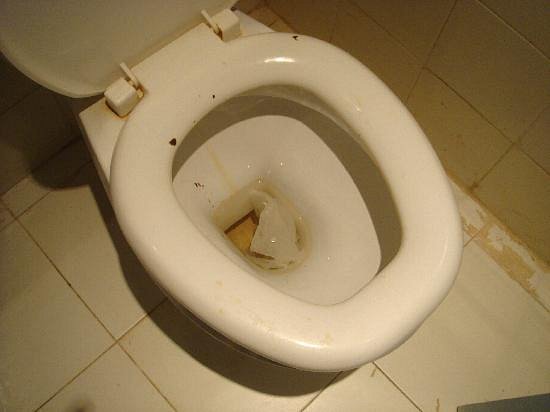 Why Toilet Mold Might Be Sign of Diabetes