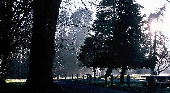 Westbury Village Green in Winter
