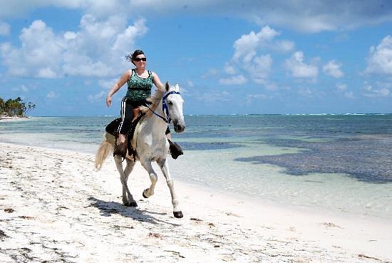 550px x 369px - Pandora Stables (Punta Cana) - All You Need to Know BEFORE You Go
