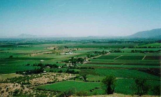 Cachapoal Wine Route image