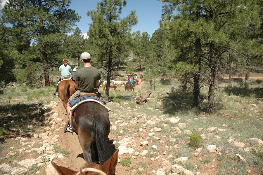 Grand Canyon Apache Stables image