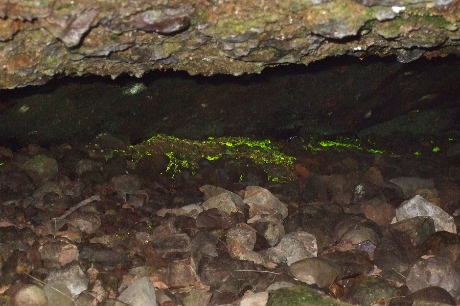 Maccaus Cave image