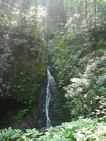 Backbone Rock Waterfall image