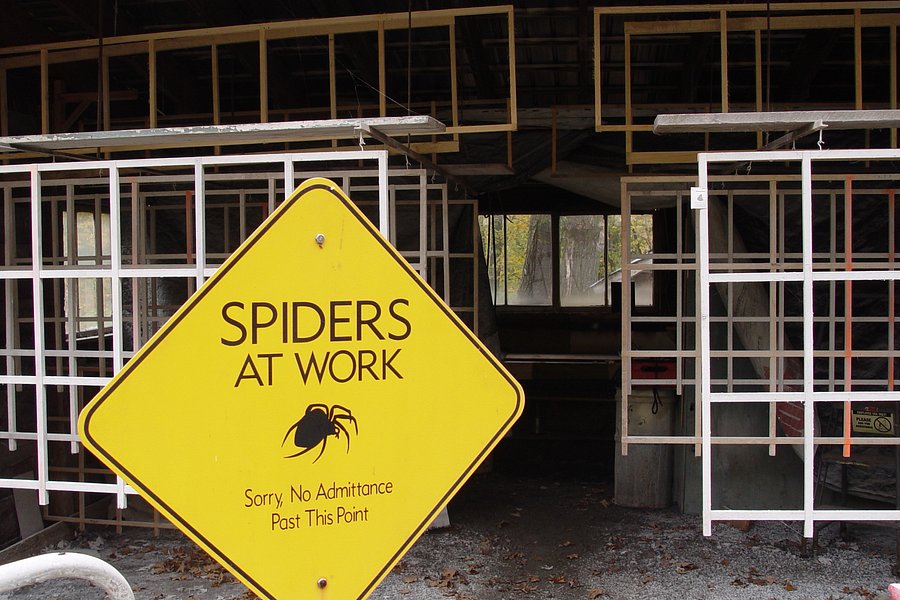 Knight's Spider Web Farm image