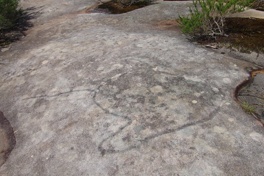Dharawal Aboriginal Engravings Site image
