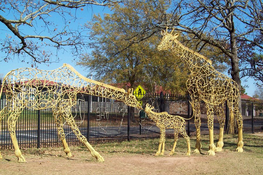 Little Rock Zoo image