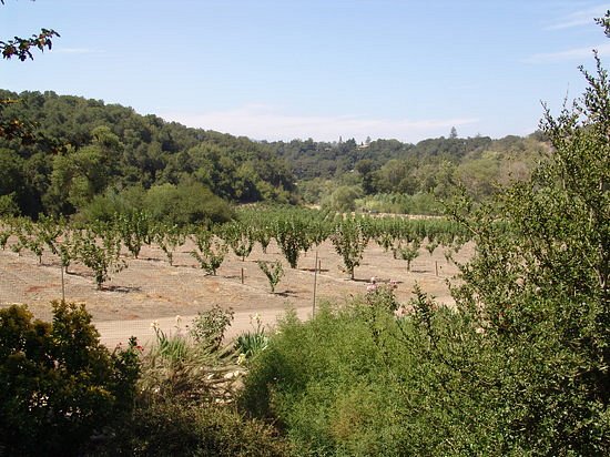Ventura County Wine Trail image