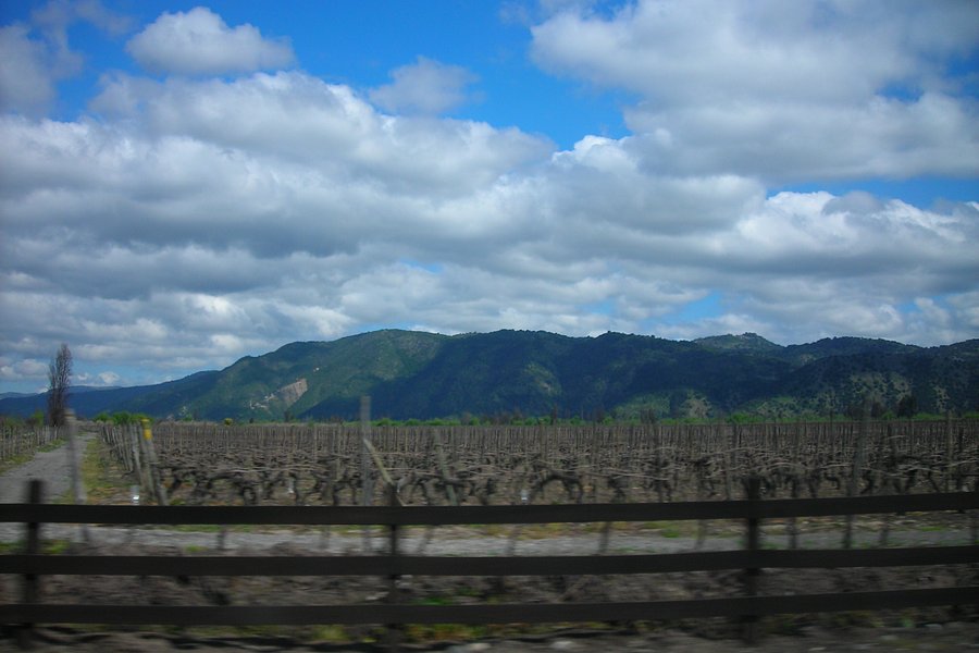 Curicó Valley Wine Route image