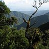 What to do and see in Blue Mountains National Park, Blue Mountains National Park: The Best Sightseeing Tours