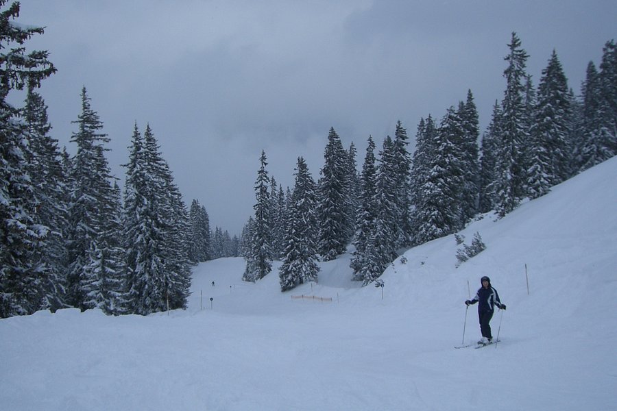 Ski Arlberg image