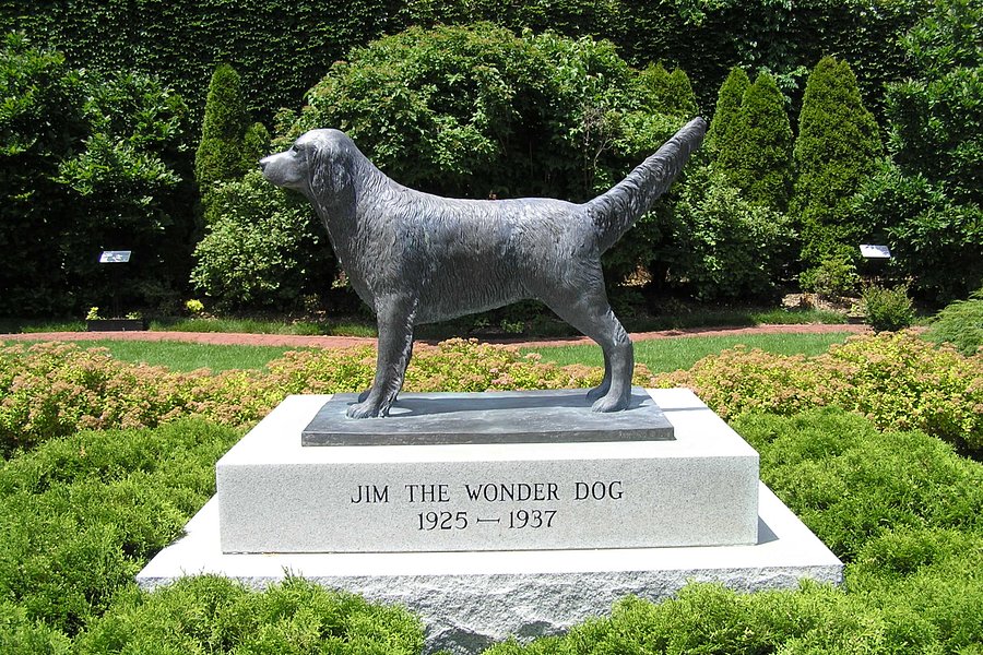 Wonder Dog Memorial Garden image