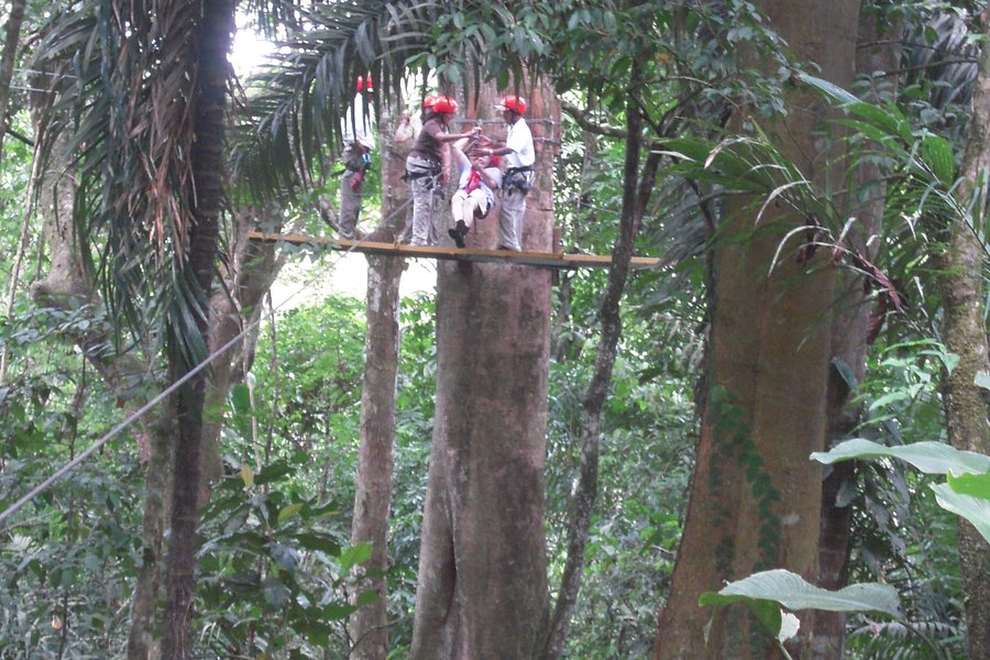 Gatun Eco Adventures image