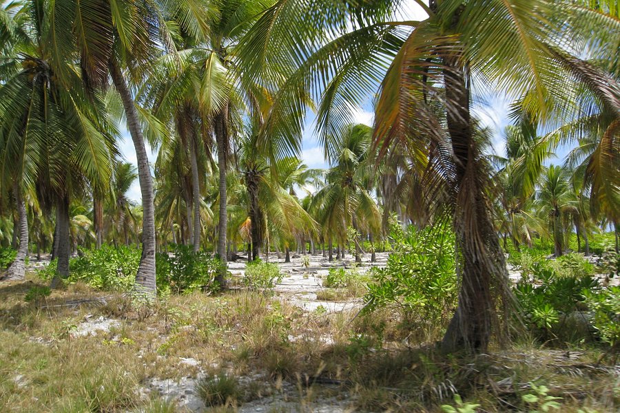 Ambo Island image