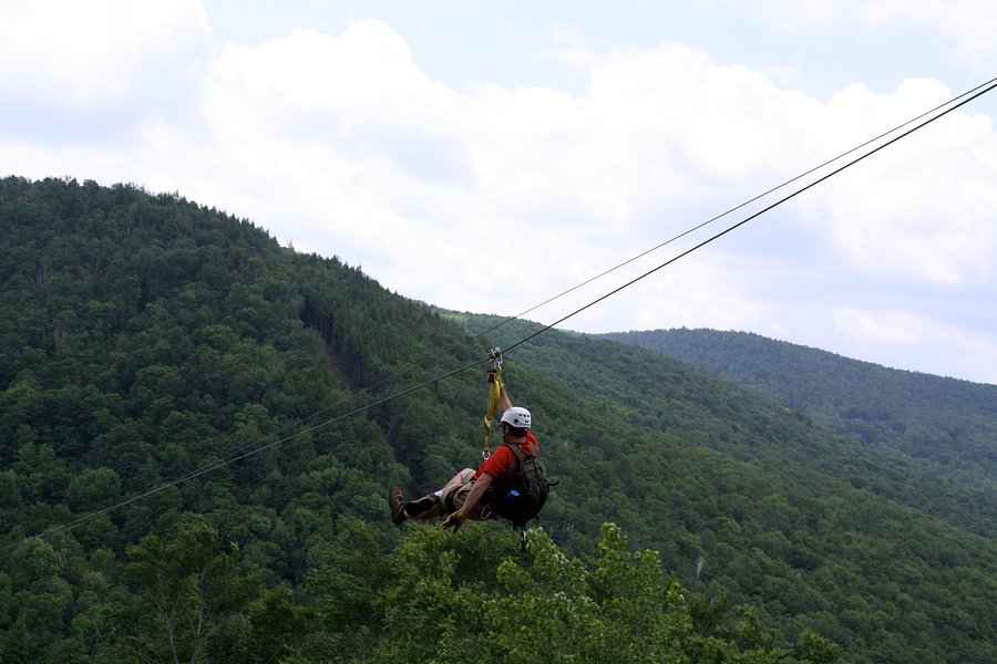 Berkshire East Canopy Tours image