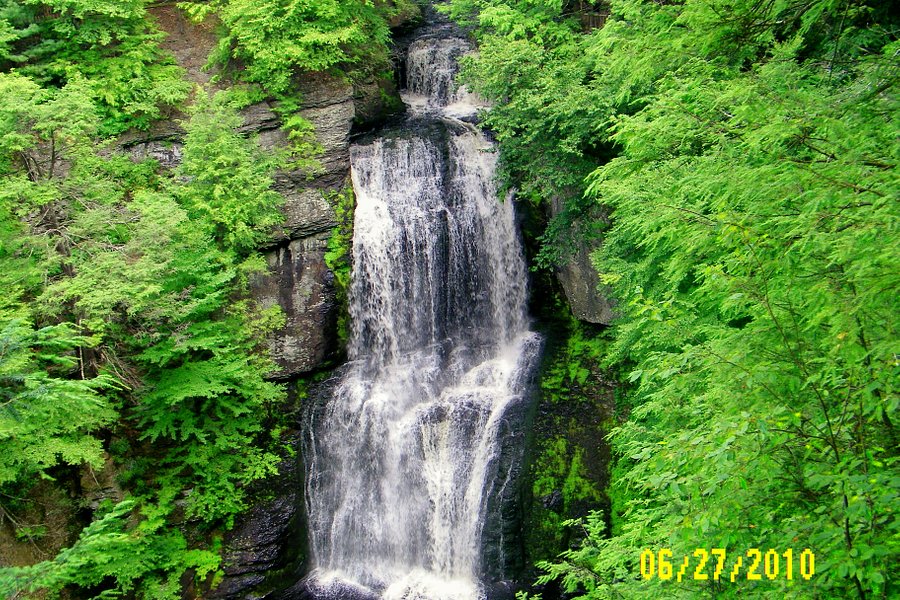 Bushkill Falls image