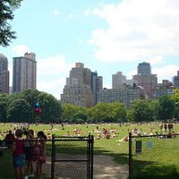 Central Park Tours (New York City) - All You Need to Know BEFORE You Go