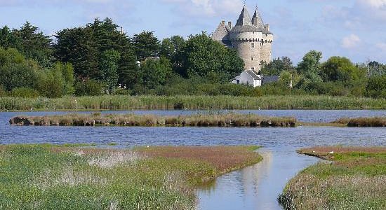 Suscinio : le château des Ducs de Bretagne