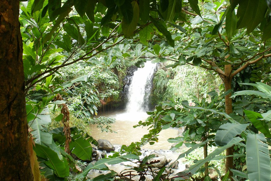 Annandale Falls image