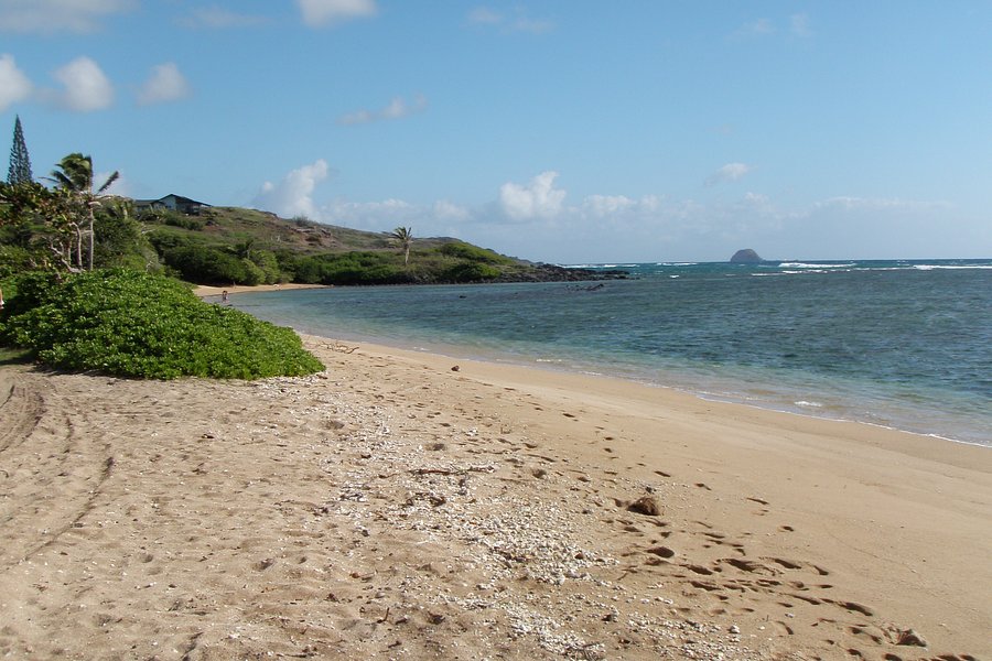 Waialua Beach image