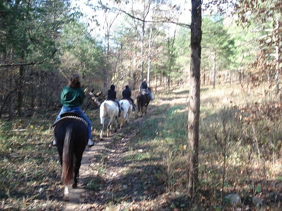 Bear Creek Trail Rides and Stable image